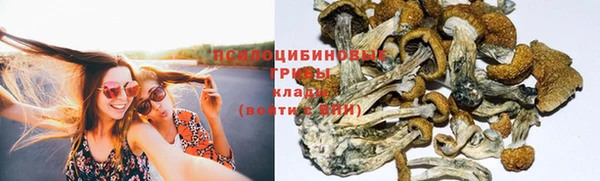 MDMA Арсеньев