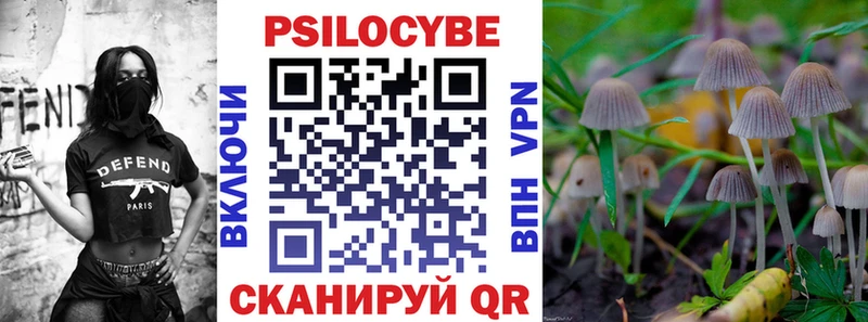 магазин продажи   Калач-на-Дону  kraken зеркало  Галлюциногенные грибы MAGIC MUSHROOMS 