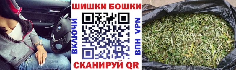 Бошки Шишки гибрид  Калач-на-Дону 
